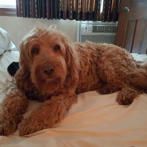 Meet your Posher, Nancy